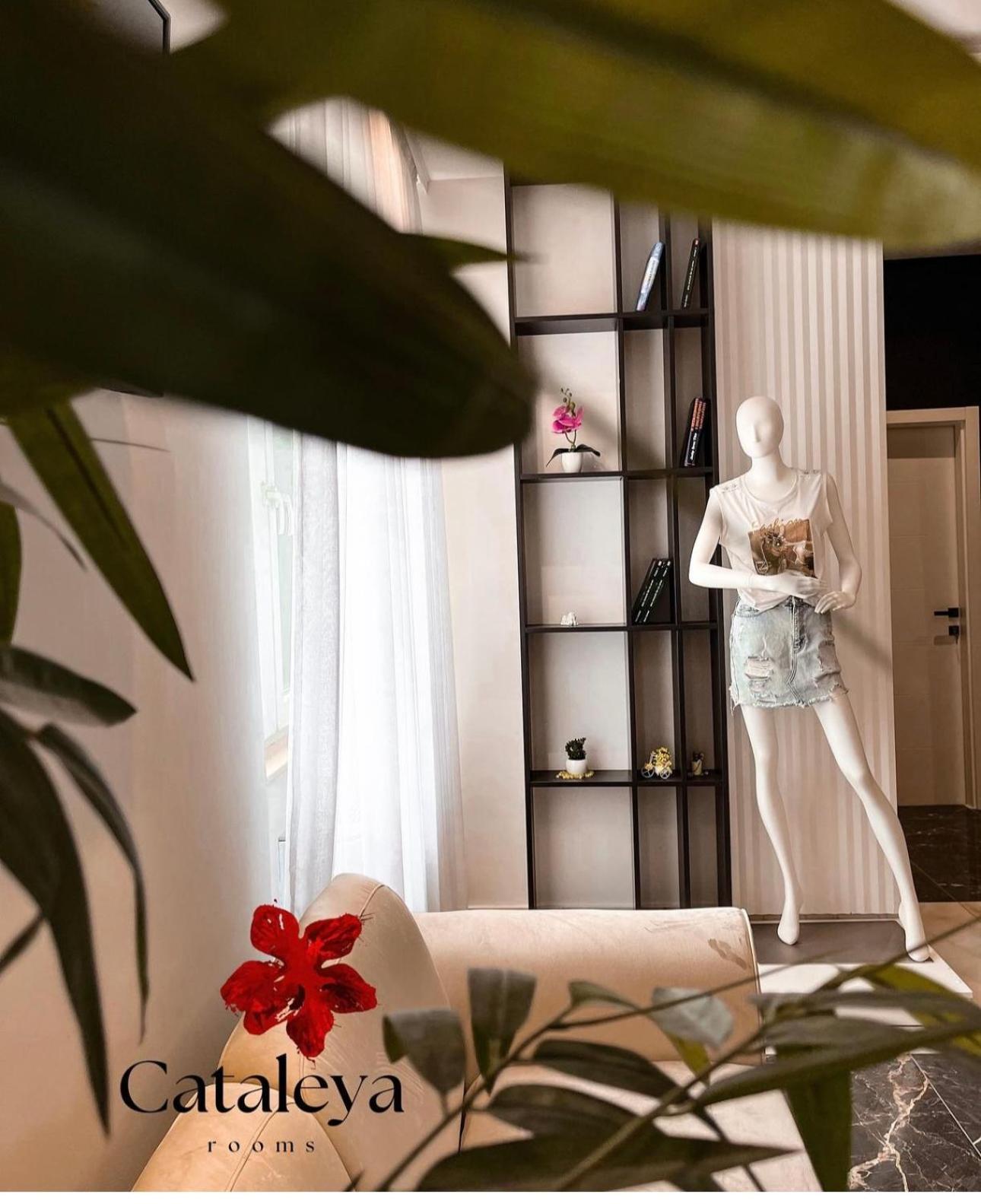 Šabac Hotel Cataleya المظهر الخارجي الصورة