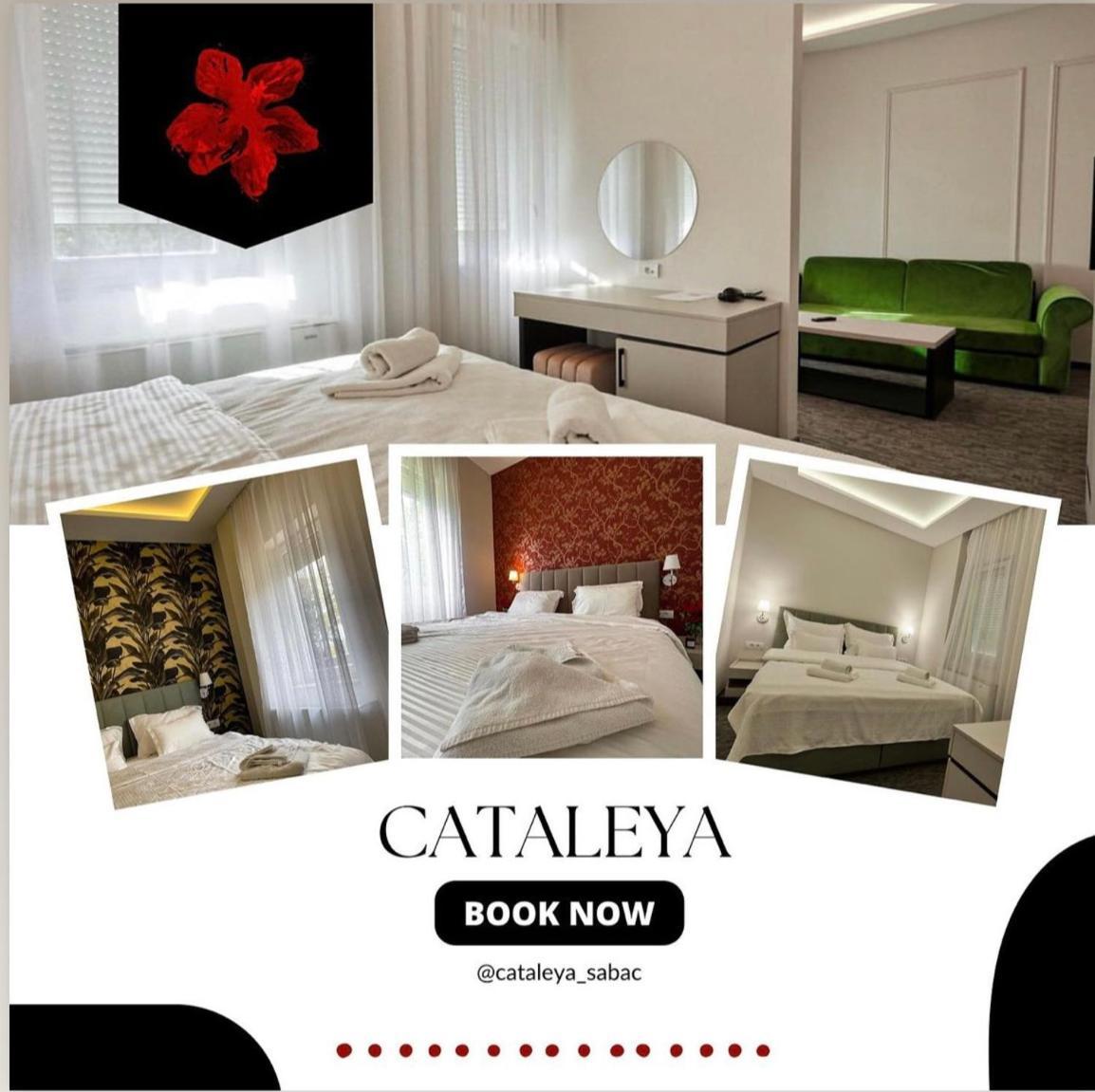 Šabac Hotel Cataleya المظهر الخارجي الصورة